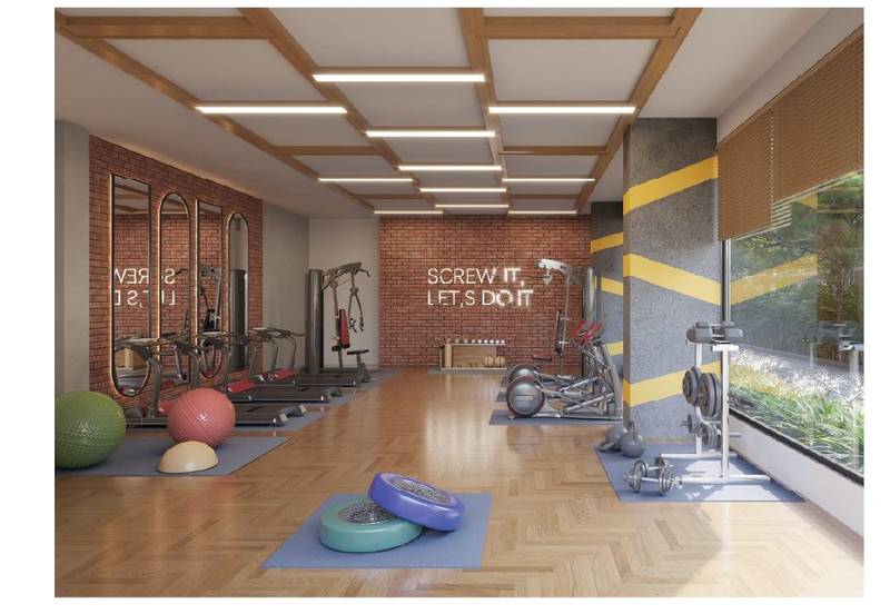 Gymnasium